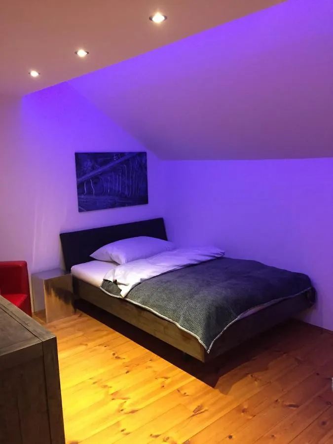 Uber Den Dachern Salzburgs Apartment